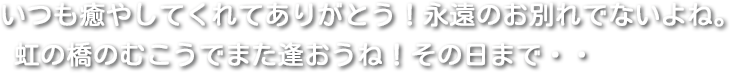 いつも癒やしてくれてありがとう!永遠のお別れでないよね。虹の橋のむこうでまた逢おうね!その日まで・・
